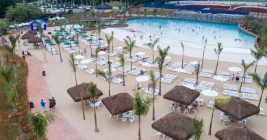 piscina-com-coqueiros