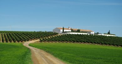 herdade no Alentejo