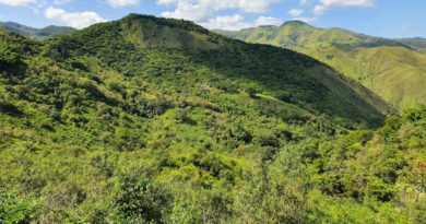 Vale do Café
