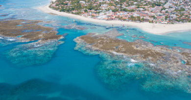 Porto de Galinhas