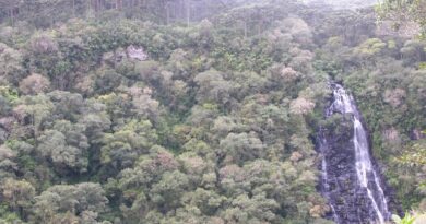 Floresta Nacional