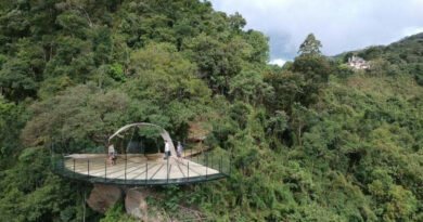 Parque da Cerveja