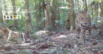 Parque Nacional