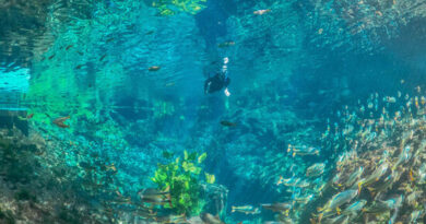 Nascente Azul