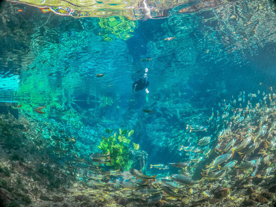 Nascente Azul