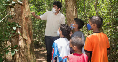 Mata Atlântica