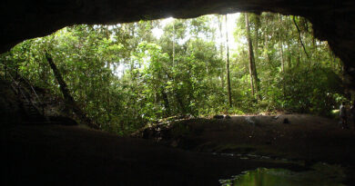 cavernas