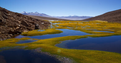 Chile