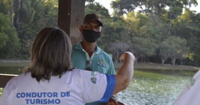 Condutor de turismo