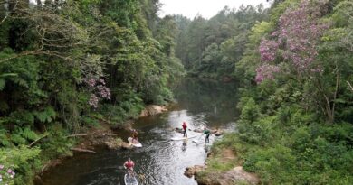 Polo de Ecoturismo de São paulo