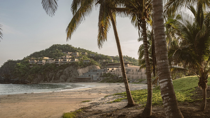 Tamarindo