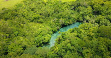 Nascente Azul