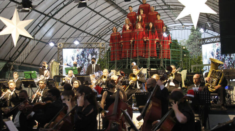 Natal Luz