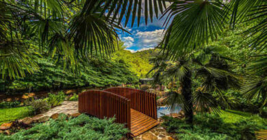 Garden Park