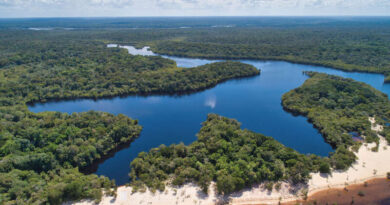 Festival das Cataratas