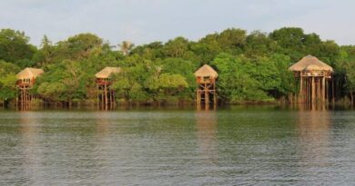 Juma Amazon Lodge