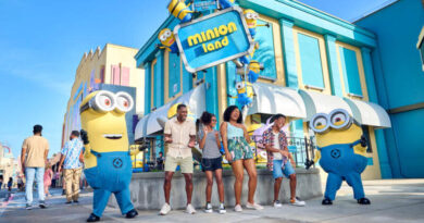 Minion Land