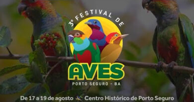 Porto Seguro