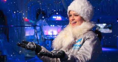 Dreams Ice Bar