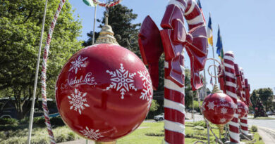 Natal Luz
