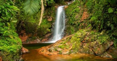 Joinville