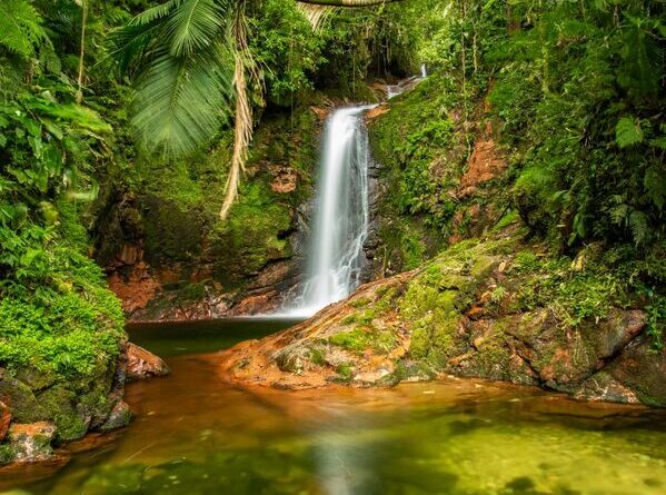 Joinville