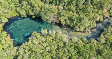 Recanto Ecológico Rio da Prata e a Lagoa Misteriosa