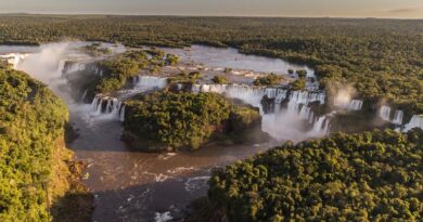 Festival das Cataratas