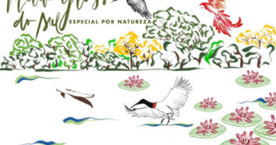 Mato Grosso do Sul