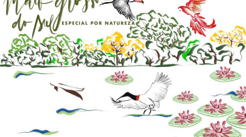 Mato Grosso do Sul