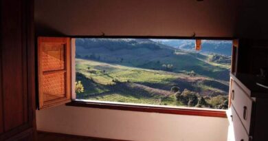 Vale dos Vinhedos
