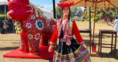 Festival Peruano