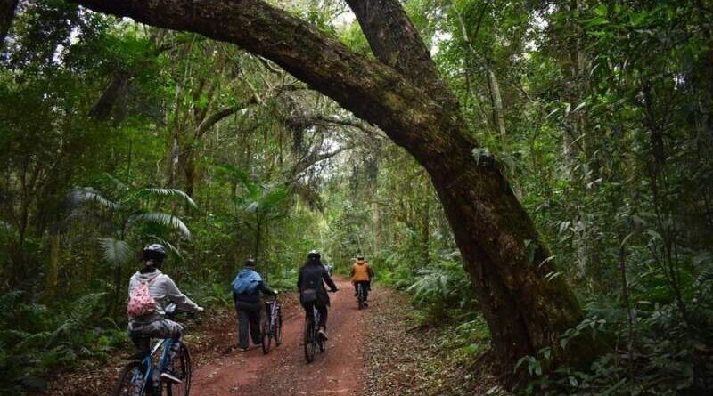 Parque Nacional do Iguaçu