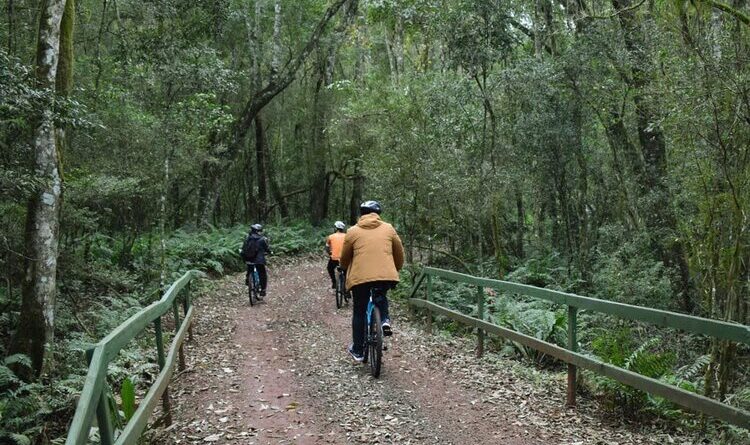 Parque Nacional do Iguaçu