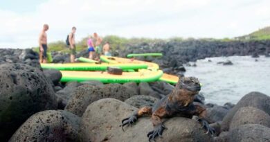 Galápagos