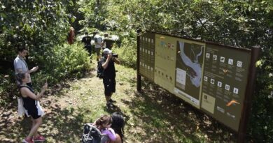 Parque Nacional do Iguaçu