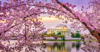 Washington, DC