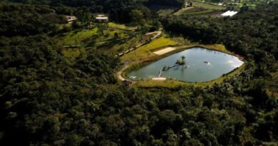 Fazenda Morros Verdes