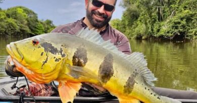 Pesca