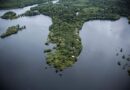 Juma Amazon Lodge