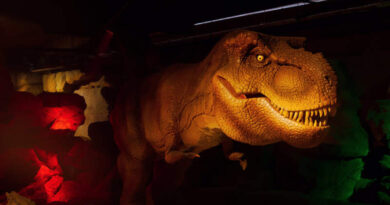 Vale dos Dinossauros