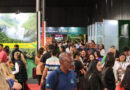 Travel Next Minas lança gamificação em aplicativo oficial Travel Next Minas