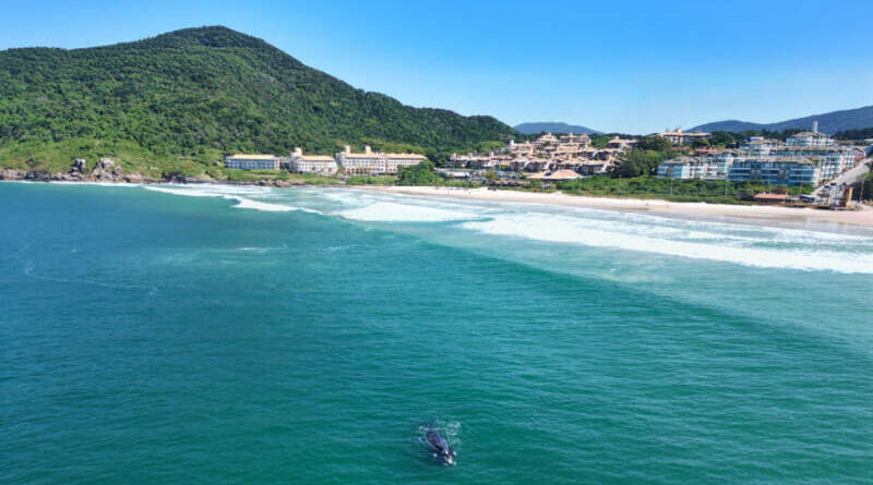 Costão do Santinho