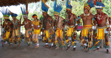 Mato Grosso