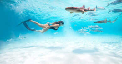 Explorar o mar é uma das melhores formas de conhecer as Bahamas Bahamas