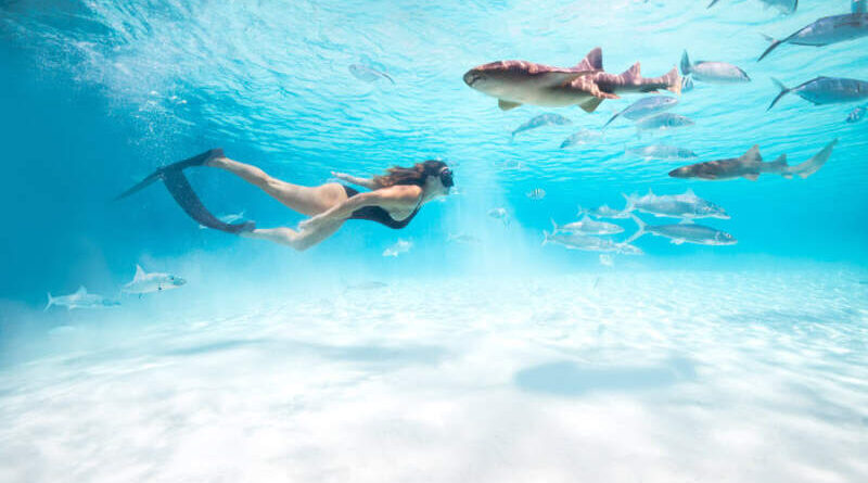 Explorar o mar é uma das melhores formas de conhecer as Bahamas Bahamas